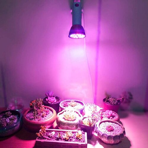 Speedpoly Indoor Grow Light Wayfair